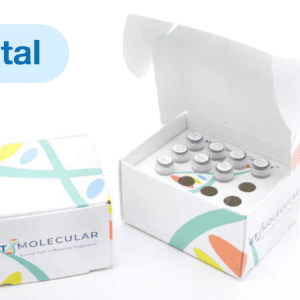 GT Molecular laboratory testing kits with vials and reagents for molecular diagnostics.