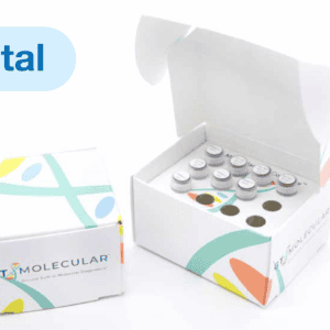 GT-Digital assay kit packaging — GT Molecular digital PCR reagent kit