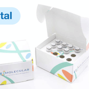 GT-Digital assay kit packaging — GT Molecular digital PCR reagent kit