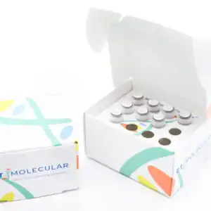 GT Molecular assay kit packaging