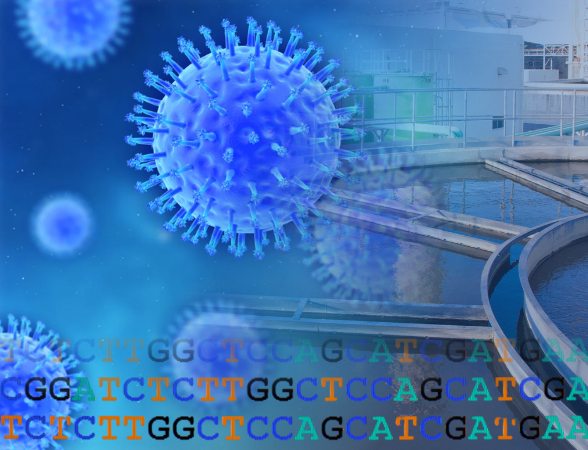 Influenza virus sequenced from wastewater