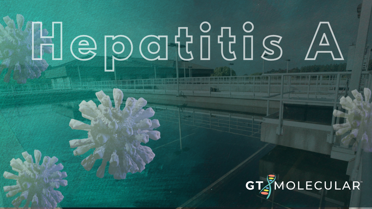 Hepatitis A (HAV) in wastewater: A vaccine preventable disease