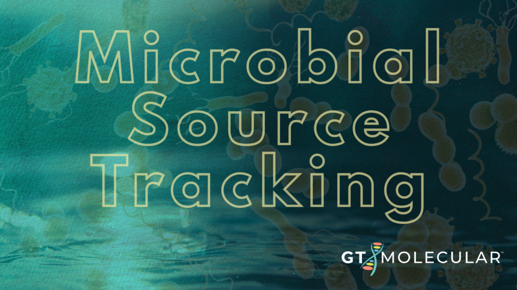 Finding the source of water contamination with inland and beach Microbial Source Tracking panels