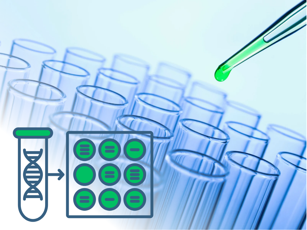 Digital PCR assay kits for the Bio-Rad QX200 or QX600 PCR systems - GT Molecular
