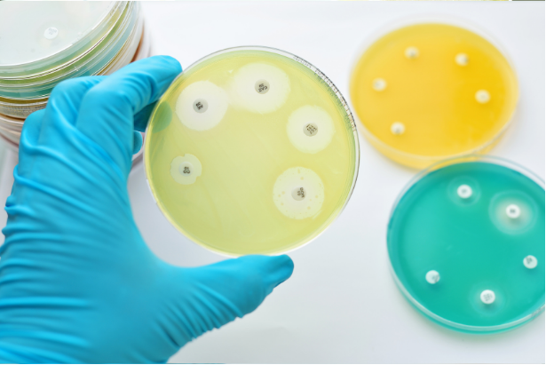 Detect antimicrobial resistance genes without culturing - GT Molecular kits and testing services