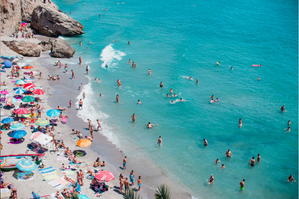 Microbial source tracking (MST) to prevent recreational water closures