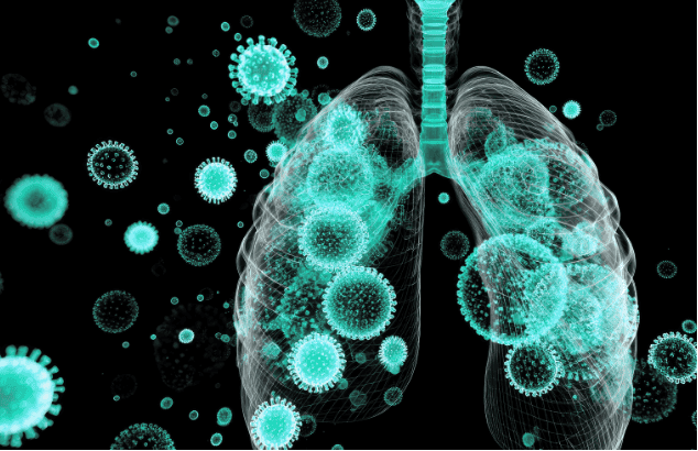 Digital illustration of lungs with virus particles representing respiratory infections.