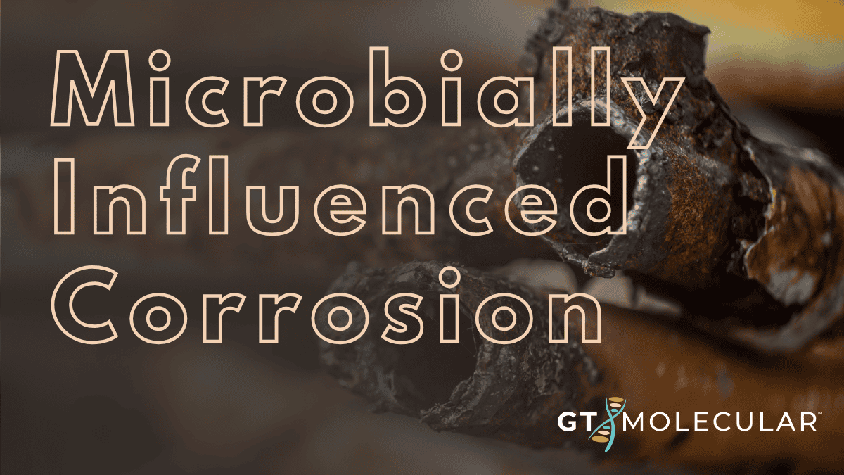 Microbially Influenced Corrosion (MIC)