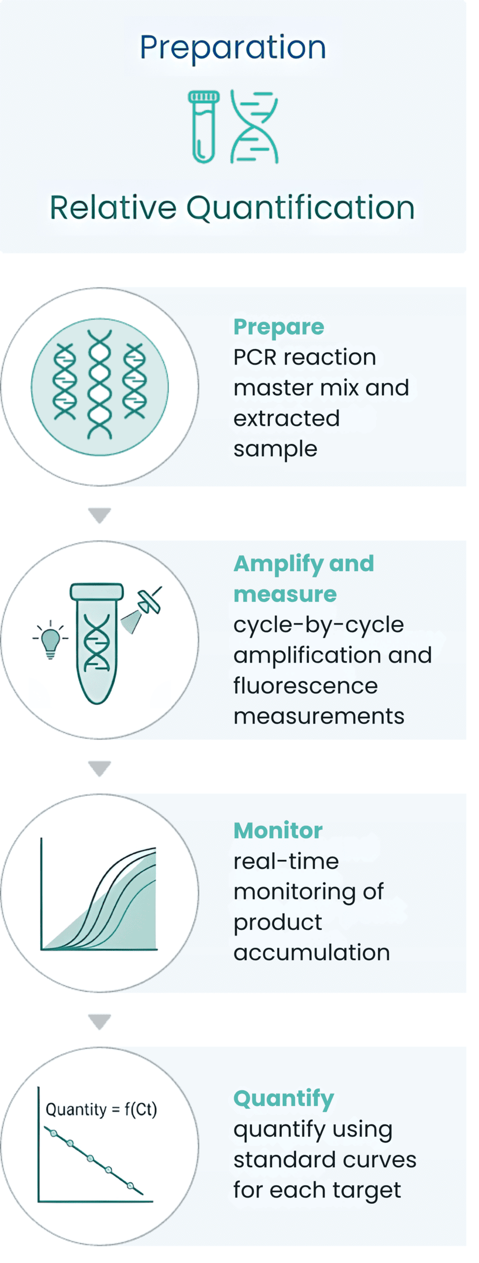 Real-Time PCR process for target detection in a sample.