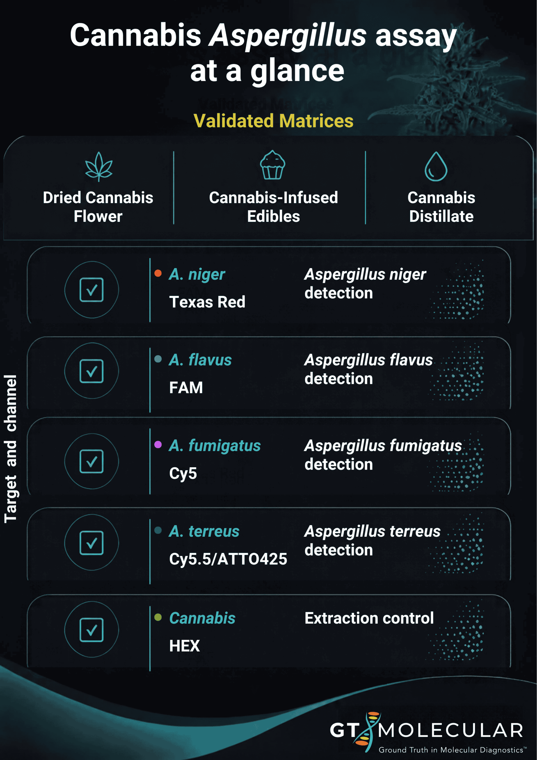 Aspergillus Cannabis Real-Time PCR Assay at a glance