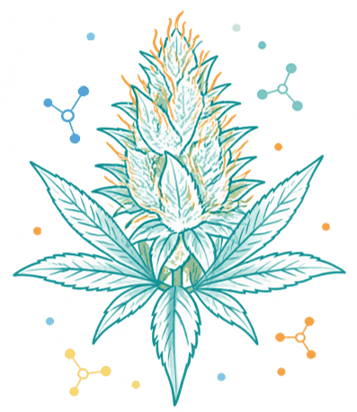 GT Molecular Cannabis Real-time PCR assays