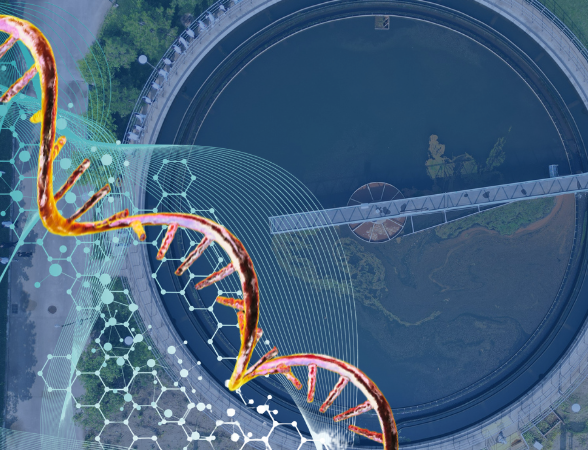 RNA computer illustration in wastewater